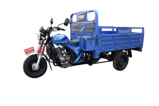 Changjiang CJ200ZH-03 Gasoline Cargo Tricycle - 200cc Engine | 60+ Km/H | 1-Year Warranty | Nigeria Market - Image 2