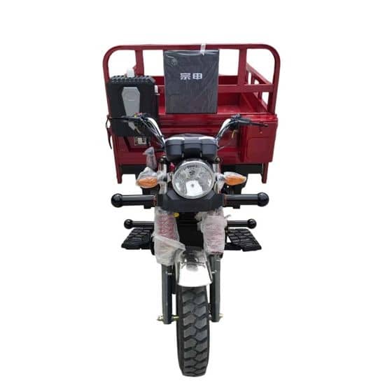 L9 Gasoline Cargo Tricycle - 200cc Engine | 10.3kW Power | Heavy-Duty Transport | Nigeria Market